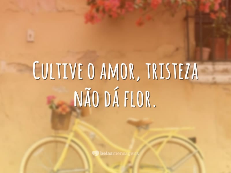 Cultive o amor, tristeza não dá flor.