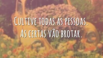 Cultive todas as pessoas. As certas vão brotar.