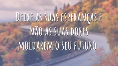 Deixe as suas esperanças e não as suas dores moldarem o seu futuro.