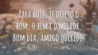 Para hoje, te desejo o bom, o bem e o melhor. Bom dia, amigo querido!