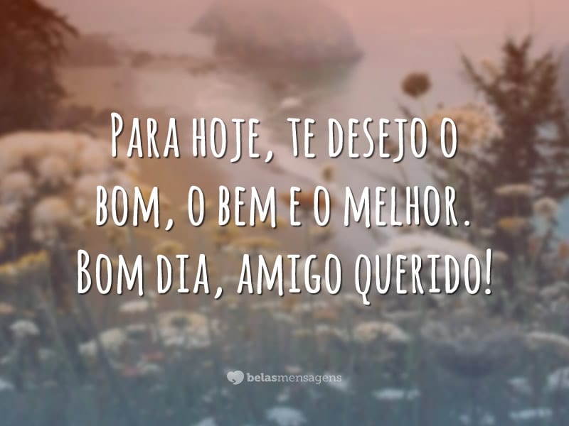 Para hoje, te desejo o bom, o bem e o melhor. Bom dia, amigo querido!