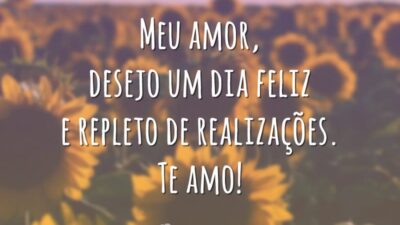 Meu amor, desejo um dia feliz e repleto de realizações. Te amo!
