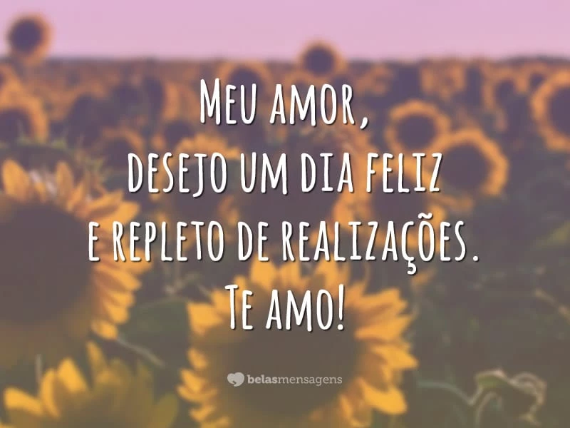 Meu amor, desejo um dia feliz e repleto de realizações. Te amo!