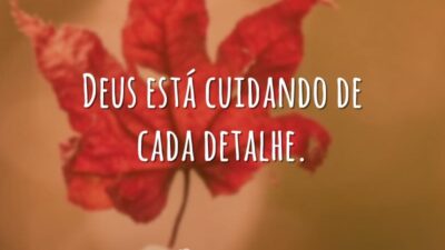 Deus está cuidando de cada detalhe.