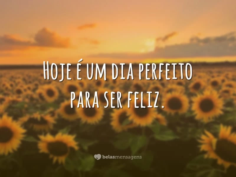 Hoje é um dia perfeito para ser feliz.