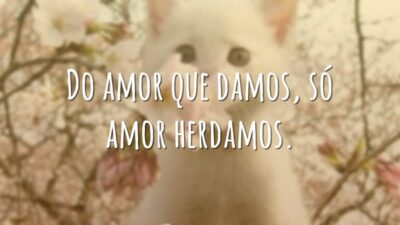 Do amor que damos, só amor herdamos.