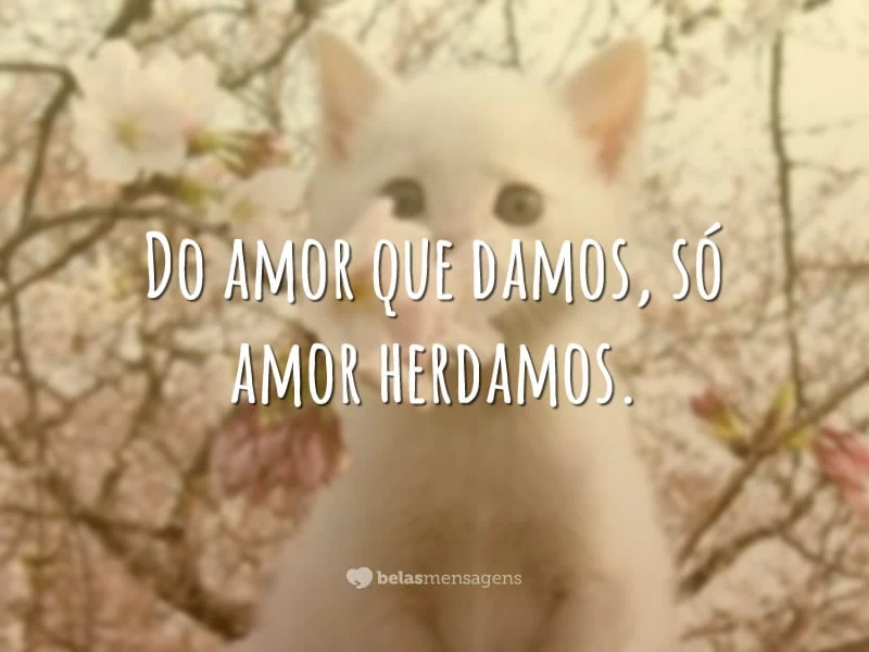 Do amor que damos, só amor herdamos.