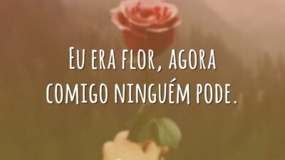 Eu era flor, agora comigo ninguém pode.