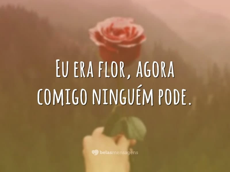 Eu era flor, agora comigo ninguém pode.