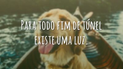 Para todo fim de túnel existe uma luz.