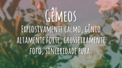 Gêmeos Explosivamente calmo, gênio altamente forte, grosseiramente fofo, sinceridade pura.