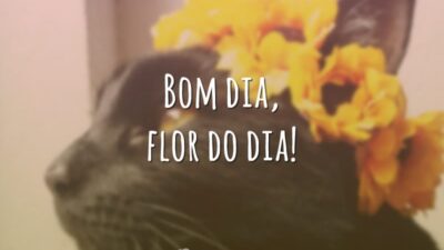 Bom dia, flor do dia!
