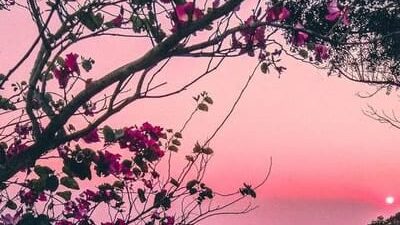 35 frases curtas bonitas que trazem inspiração ao seu dia