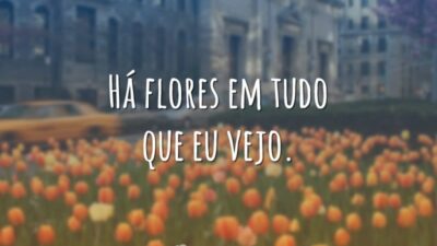 Há flores em tudo que eu vejo.