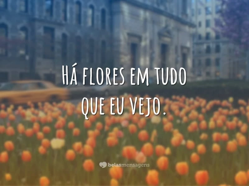 Há flores em tudo que eu vejo.