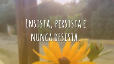 Insista, persista e nunca desista.