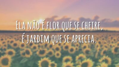 Ela não é flor que se cheire, é jardim que se aprecia.