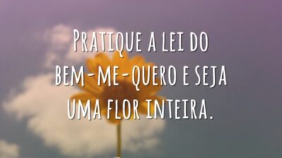 Pratique a lei do bem-me-quero e seja uma flor inteira.