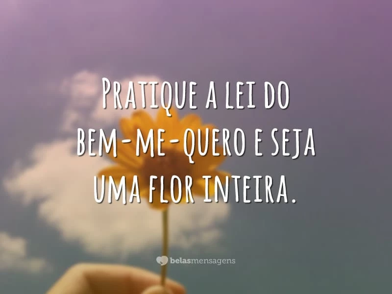 Pratique a lei do bem-me-quero e seja uma flor inteira.