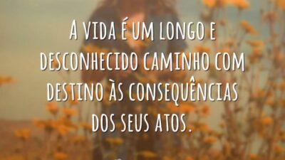A vida é um longo e desconhecido caminho com destino às consequências dos seus atos.