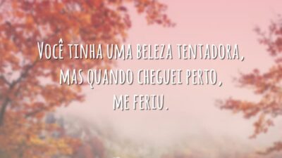 Você tinha uma beleza tentadora, mas quando cheguei perto, me feriu.
