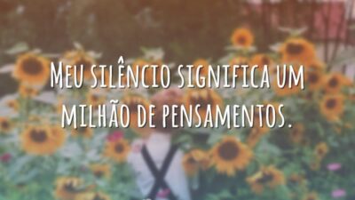 Meu silêncio significa um milhão de pensamentos.