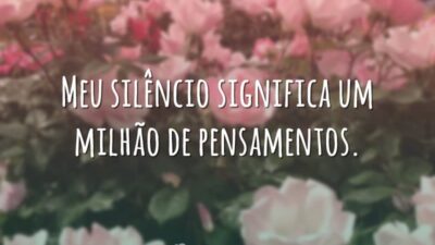 Meu silêncio significa um milhão de pensamentos.