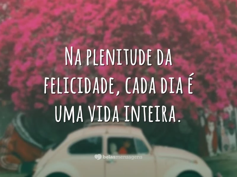 Na plenitude da felicidade, cada dia é uma vida inteira.