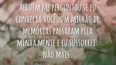 Alguém me perguntou se eu conhecia você, um milhão de memórias passaram pela minha mente e eu sussurrei: não mais.