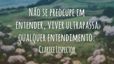 Não se preocupe em entender, viver ultrapassa qualquer entendimento.