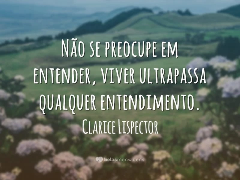 Não se preocupe em entender, viver ultrapassa qualquer entendimento.