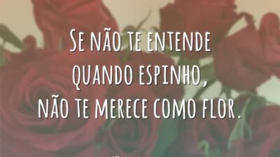 Se não te entende quando espinho, não te merece como flor.