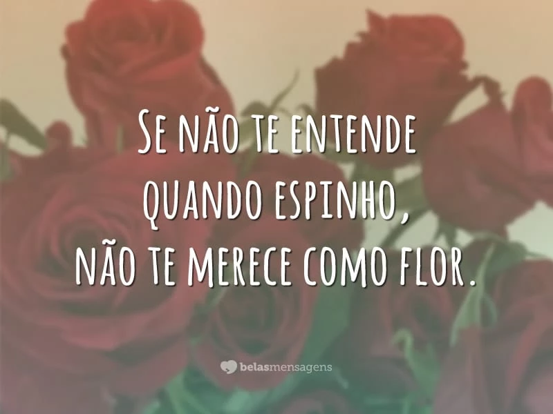 Se não te entende quando espinho, não te merece como flor.