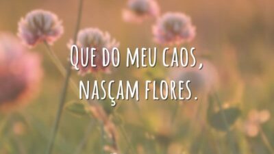 Que do meu caos, nasçam flores.