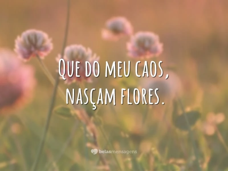 Que do meu caos, nasçam flores.