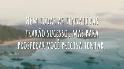 Nem todas as tentativas trarão sucesso, mas para prosperar você precisa tentar.
