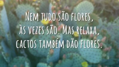 Nem tudo são flores, às vezes são. Mas relaxa, cactos também dão flores.