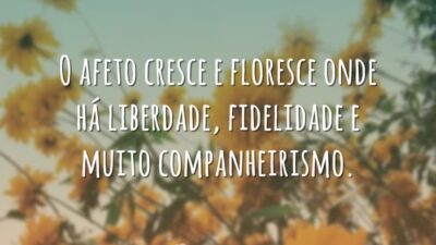 O afeto cresce e floresce onde há liberdade, fidelidade e muito companheirismo.