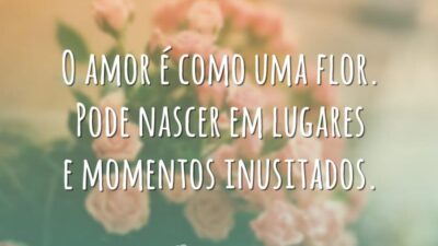 O amor é como uma flor. Pode nascer em lugares e momentos inusitados.