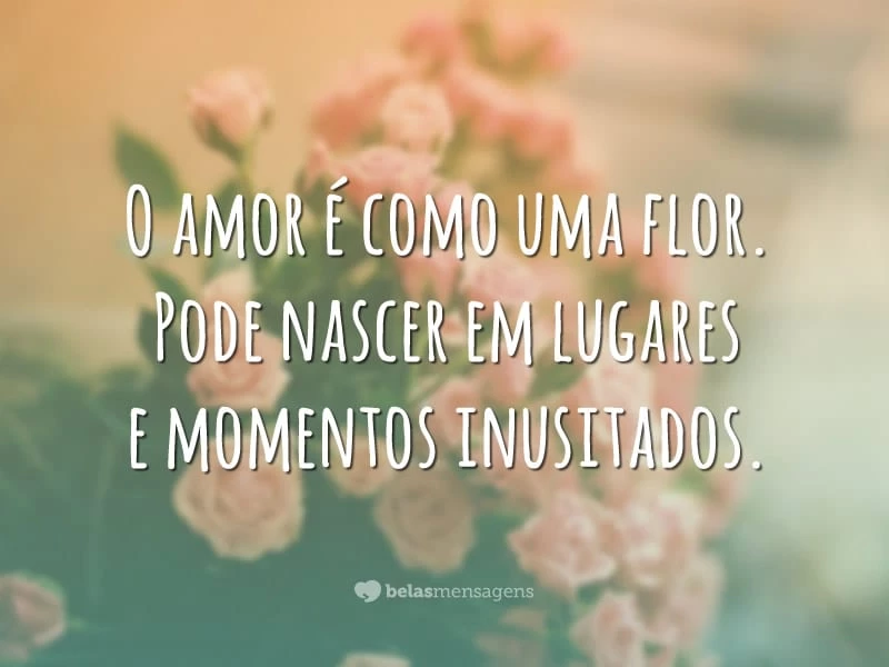 O amor é como uma flor. Pode nascer em lugares e momentos inusitados.