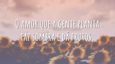 O amor que a gente planta faz sombra e dá frutos.