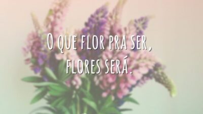 O que flor pra ser, flores será.
