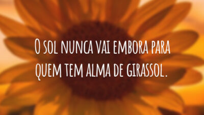 O sol nunca vai embora para quem tem alma de girassol.