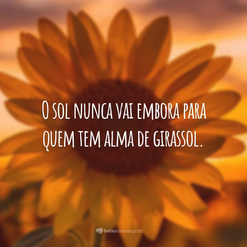 O sol nunca vai embora para quem tem alma de girassol.