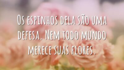 Os espinhos dela são uma defesa. Nem todo mundo merece suas flores.