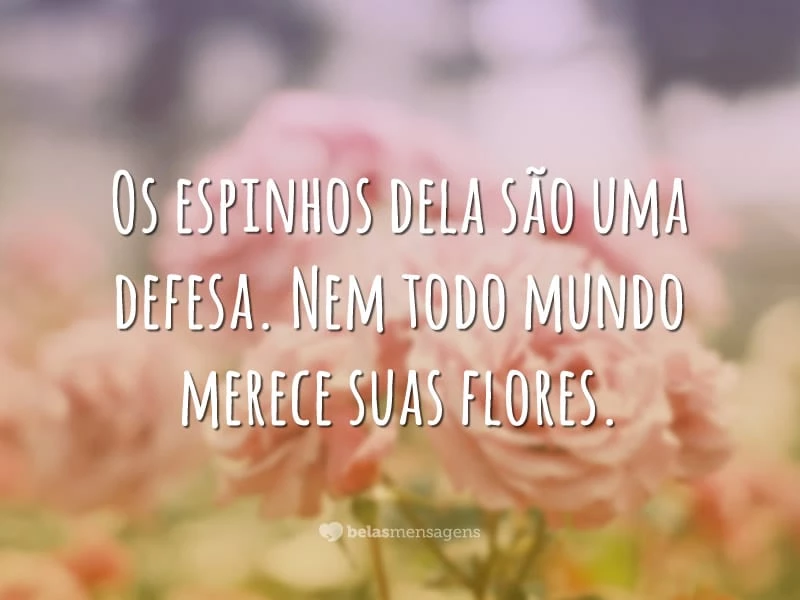 Os espinhos dela são uma defesa. Nem todo mundo merece suas flores.