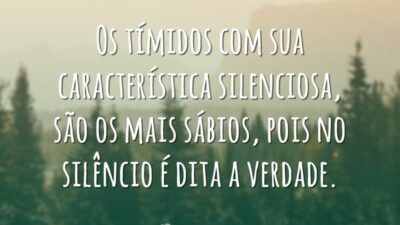 Os tímidos com sua característica silenciosa, são os mais sábios, pois no silêncio é dita a verdade.