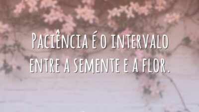 Paciência é o intervalo entre a semente e a flor.