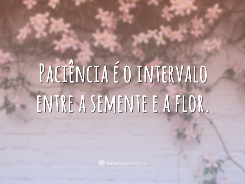 Paciência é o intervalo entre a semente e a flor.