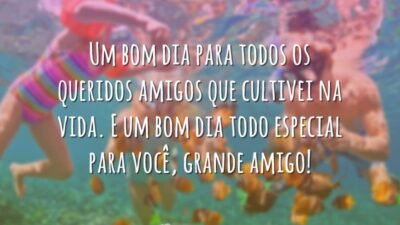 Um bom dia para todos os queridos amigos que cultivei na vida. E um bom dia todo especial para você, grande amigo!